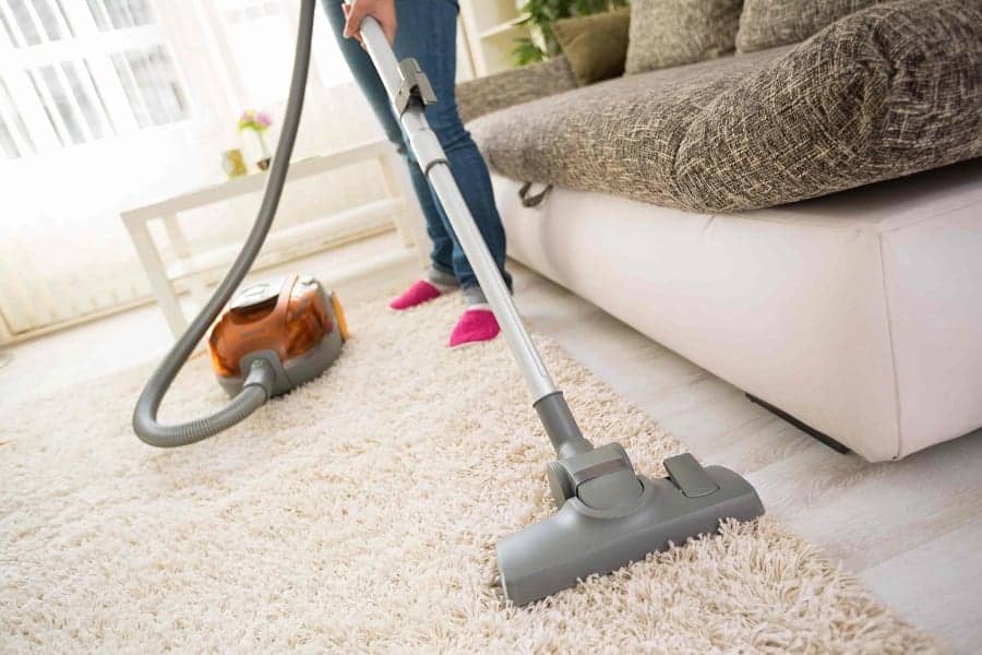 cleaning-the-house